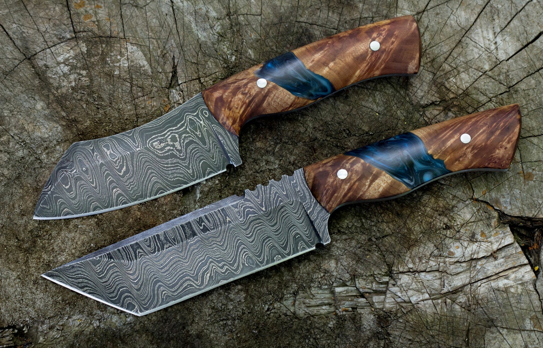 Teal Cactus Wood Knife Scales Knife Handle Blank Handle Material Exotic Knife  Handle P1 – Exotic Knife Handles